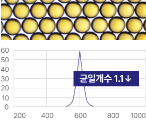 균일개수 1.1 화살표 아래 방향